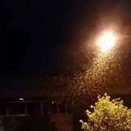 白蟻危害大，4-6月份進(jìn)入其活躍期 防治白蟻不容忽視！